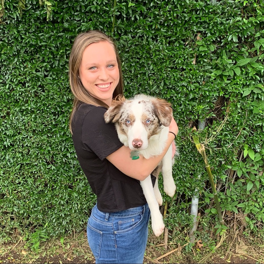 Meet your Posher, Brandi
